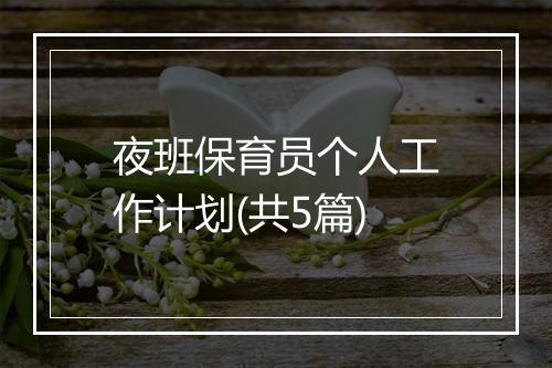 夜班保育员个人工作计划(共5篇)