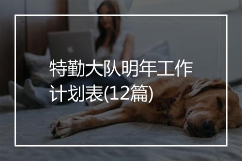 特勤大队明年工作计划表(12篇)