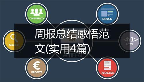 周报总结感悟范文(实用4篇)