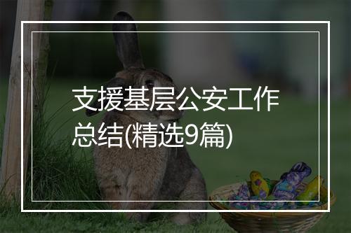 支援基层公安工作总结(精选9篇)
