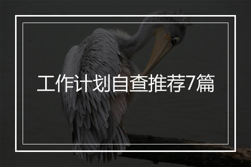 工作计划自查推荐7篇