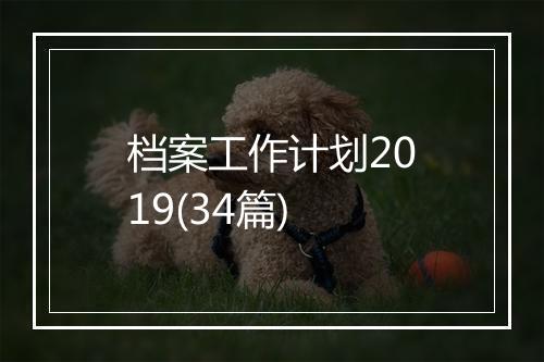 档案工作计划2019(34篇)