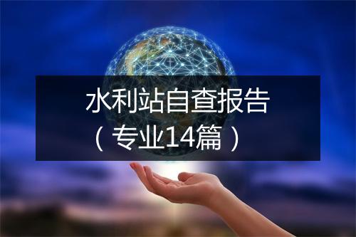 水利站自查报告（专业14篇）
