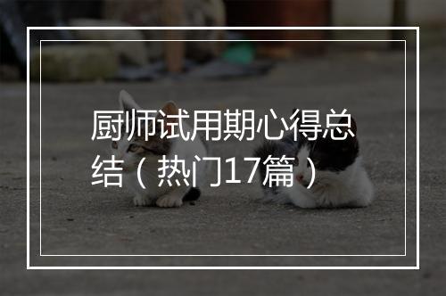 厨师试用期心得总结（热门17篇）