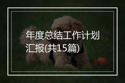 年度总结工作计划汇报(共15篇)