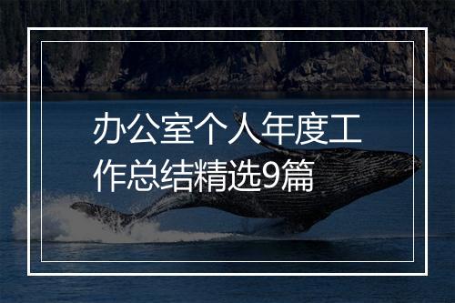 办公室个人年度工作总结精选9篇