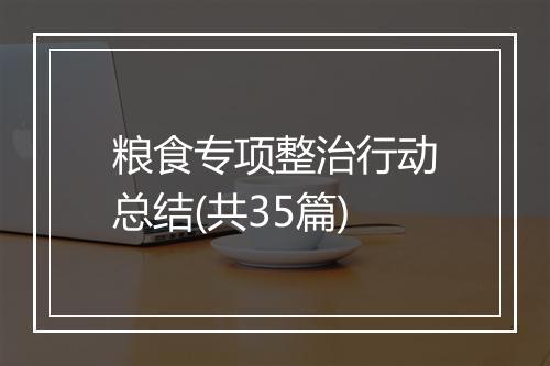 粮食专项整治行动总结(共35篇)