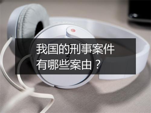 我国的刑事案件有哪些案由？