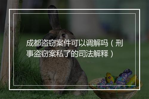 成都盗窃案件可以调解吗（刑事盗窃案私了的司法解释）