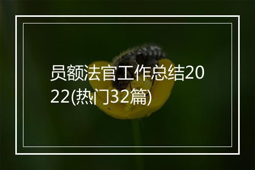 员额法官工作总结2022(热门32篇)