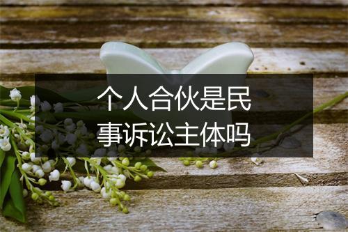 个人合伙是民事诉讼主体吗