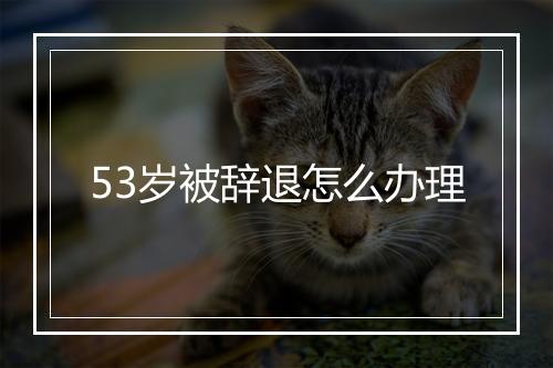 53岁被辞退怎么办理