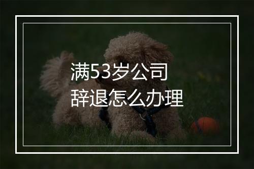 满53岁公司辞退怎么办理