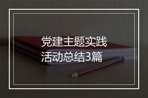 党建主题实践活动总结3篇