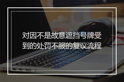 对因不是故意遮挡号牌受到的处罚不服的复议流程