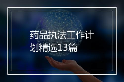 药品执法工作计划精选13篇
