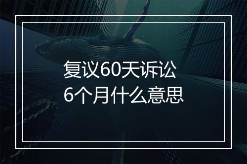复议60天诉讼6个月什么意思