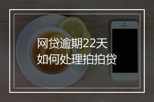 网贷逾期22天如何处理拍拍贷