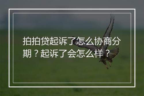 拍拍贷起诉了怎么协商分期？起诉了会怎么样？
