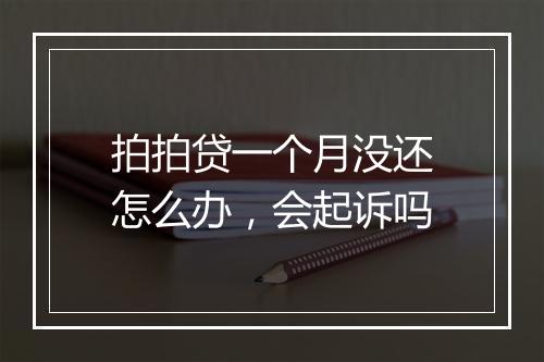 拍拍贷一个月没还怎么办，会起诉吗
