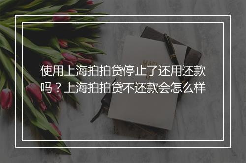 使用上海拍拍贷停止了还用还款吗？上海拍拍贷不还款会怎么样