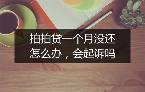 拍拍贷一个月没还怎么办，会起诉吗