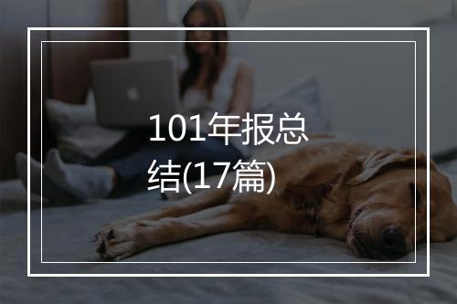 101年报总结(17篇)