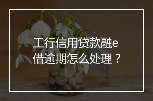 工行信用贷款融e借逾期怎么处理？