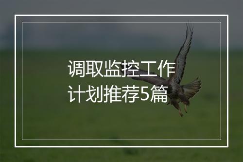 调取监控工作计划推荐5篇