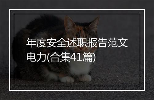 年度安全述职报告范文电力(合集41篇)
