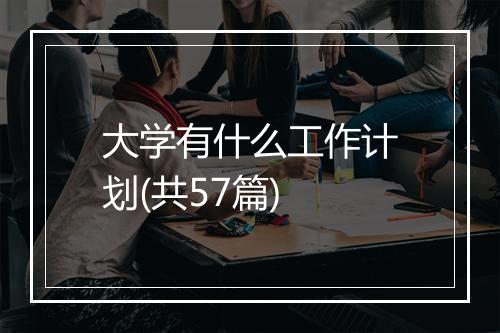 大学有什么工作计划(共57篇)