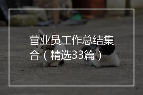营业员工作总结集合（精选33篇）