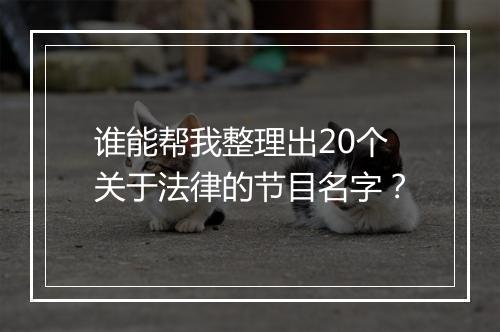 谁能帮我整理出20个关于法律的节目名字？