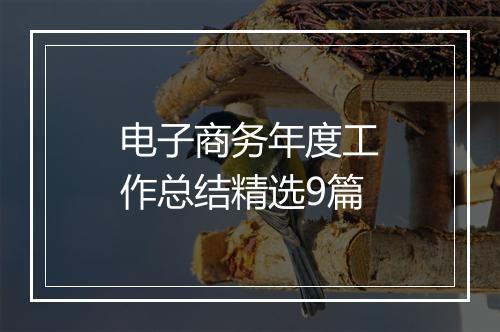 电子商务年度工作总结精选9篇