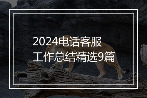 2024电话客服工作总结精选9篇