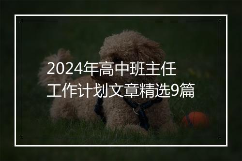 2024年高中班主任工作计划文章精选9篇