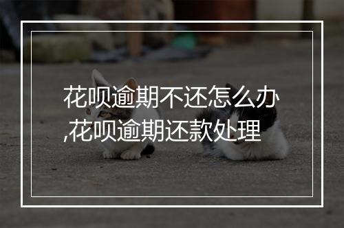 花呗逾期不还怎么办,花呗逾期还款处理