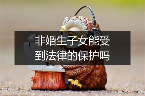 非婚生子女能受到法律的保护吗