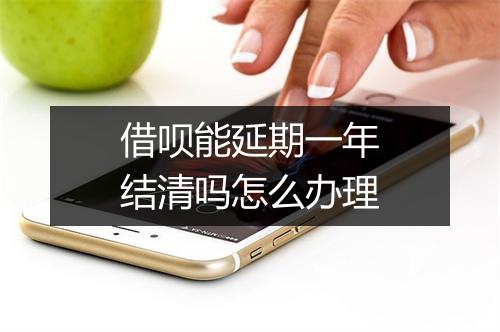 借呗能延期一年结清吗怎么办理