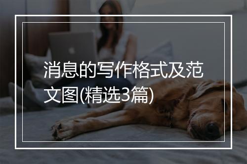 消息的写作格式及范文图(精选3篇)