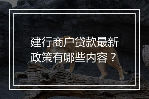 建行商户贷款最新政策有哪些内容？