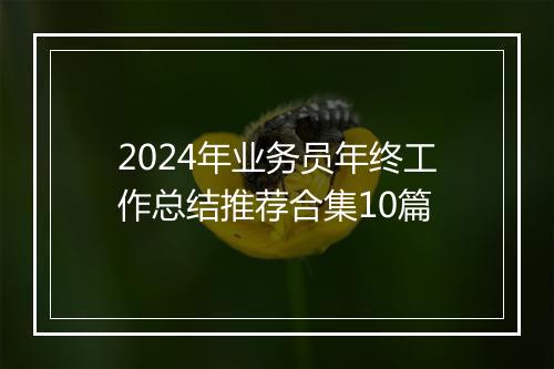 2024年业务员年终工作总结推荐合集10篇