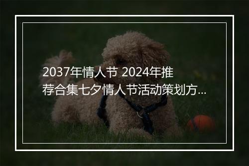 2037年情人节 2024年推荐合集七夕情人节活动策划方案推荐合集11篇