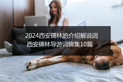 2024西安碑林的介绍解说词 西安碑林导游词锦集10篇