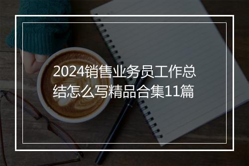 2024销售业务员工作总结怎么写精品合集11篇