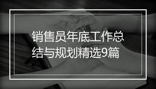 销售员年底工作总结与规划精选9篇