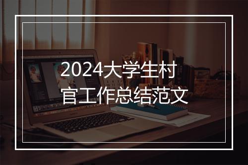 2024大学生村官工作总结范文