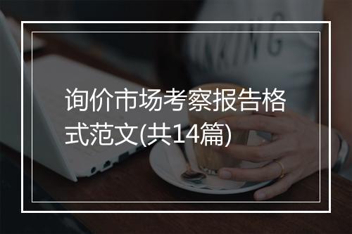 询价市场考察报告格式范文(共14篇)