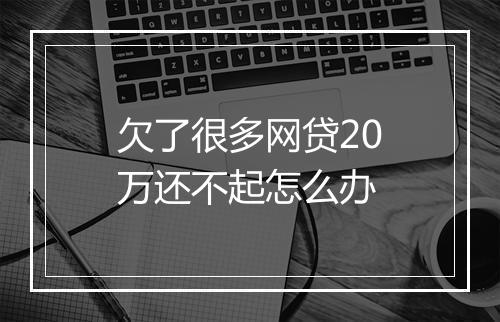 欠了很多网贷20万还不起怎么办