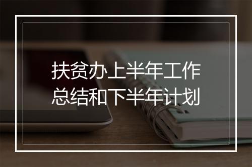 扶贫办上半年工作总结和下半年计划